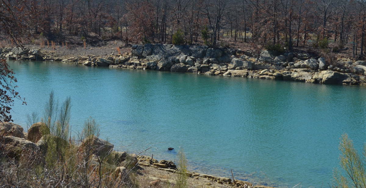 Duke’s Forest Campground Lake Murray